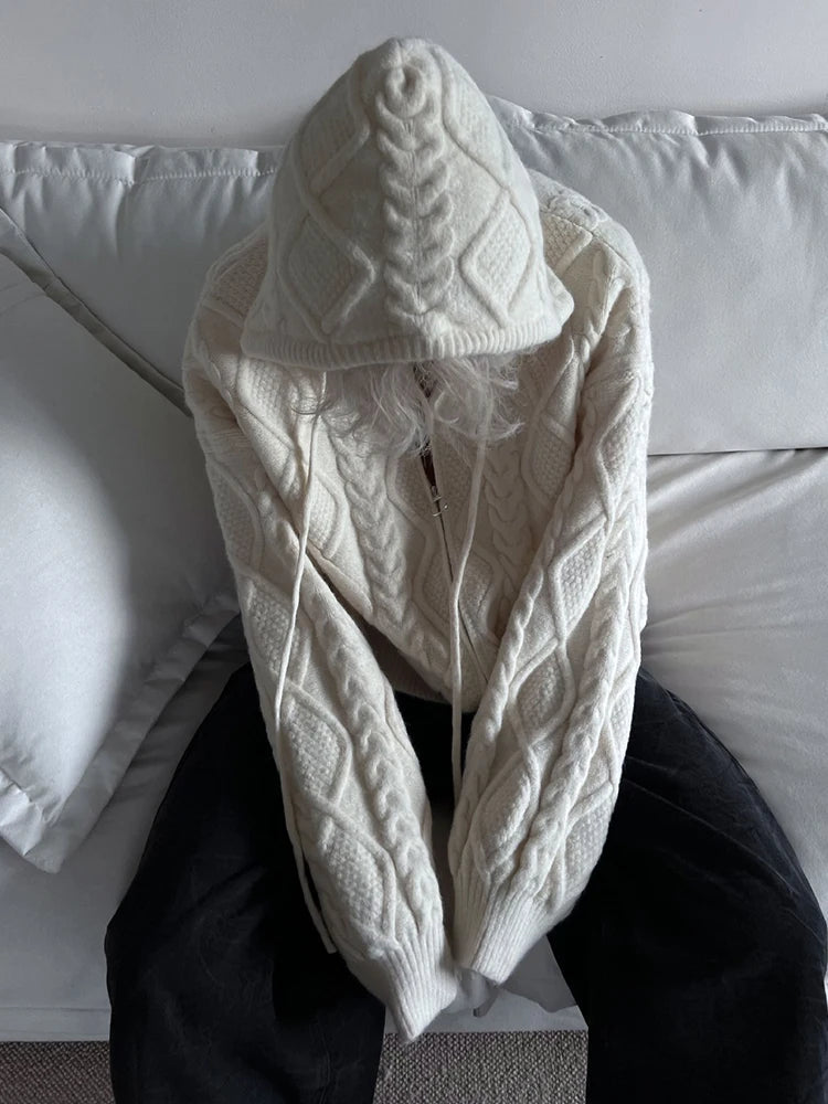 AIDASE  -  Zip Up Hoodie Men Streetwear Harajuku knit Oversized Jacket Hood Shirt Punk Gothic Y2K Clothes Sweatshirt sudaderas para hombres aidase-shop