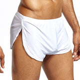 Aidase Men Underwear Boxers Breathable Man Boxer Solid Gay Sexy Underpants Men's Comfortable Brand Shorts Underwear for Men Pants aidase-shop