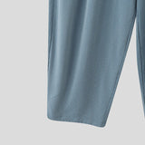 AIDASE  -  Men Striped Pants Joggers Elastic Waist Loose Korean Style Trousers Men Streetwear 2025 Pleated Casual Long Pants S-5XL aidase-shop