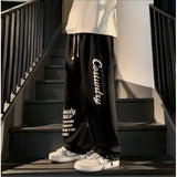 AIDASE  -  Summer Thin Trendy Pants Printed High Street Fashion Straight Pants Autumn Winter Plus Velvet Versatile Loose Casual Pants Chic aidase-shop