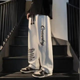 AIDASE  -  Summer Thin Trendy Pants Printed High Street Fashion Straight Pants Autumn Winter Plus Velvet Versatile Loose Casual Pants Chic aidase-shop