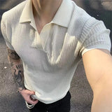 AIDASE  -  Stylish Men's Slim Knit Polo Shirts 2025 Summer New Casual Textured Ribbed Polo Shirt For Mens Streetwear Vintage Polo T-shirts aidase-shop