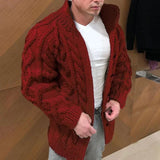 40.46Aidase New Mens Autumn Winter Sweater Long Sleeve Standing Collar Twisted Jacquard Men's Casual Cardigans aidase-shop