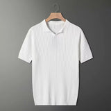 AIDASE  -  Men's Clothing Light Luxury Knitted Polo Shirt Casual Stripe V-Neck Solid Color Short Sleeve T-Shirt Breathable Fashion Knitwear aidase-shop