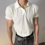 AIDASE  -  Stylish Men's Slim Knit Polo Shirts 2025 Summer New Casual Textured Ribbed Polo Shirt For Mens Streetwear Vintage Polo T-shirts aidase-shop