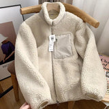 Aidase Autumn and Winter Japanese Men's and Women's Fleece Stand Neck Jacket Couple Zipper Loose Warm Lamb Wool Coat Solid Color Jacket