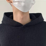Autumn Men's Luxury Knitted Hooded Pullovers Sweater Casual Streetwear Striped Solid Color Long Sleeve Hoodie Vintage aidase-shop