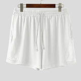 AIDASE  -  Men's Shorts Mesh Patchwork Joggers Drawstring Summer Men Bottoms Streetwear Sexy See Through Casual Male Shorts S-5XL aidase-shop