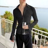 AIDASE  -  Men Shirt See Through Mesh Lapel Flare Long Sleeve Men Clothing Sexy Fashion Casual Party Casual Camisetas S-3XL aidase-shop