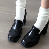 AIDASE  -  College Style Women Loafer Shoes Fashion Shallow Slip On Vintage Female Elegant Thick Heel Commuting Shoes aidase-shop