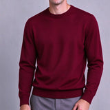 AIDASE  -  Men's Classic Crew Neck Knitwear Sweater Solid Color Pullover Casual Long Sleeve Jumper Autumn Winter Regular Fit Basic Tops aidase-shop
