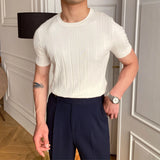 Aidase 2024 O-Neck Stretched Men's Tee Shirt Simple Solid Color Stripe Slim Knitted T Shirt Homme Streetwear Fashion Casual T-Shirt aidase-shop