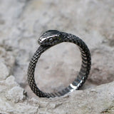 Aidase NEW Men's 316L stainless-steel rings Viking Snake head animal Amulet RING for teens fashion Jewelry Gifts aidase-shop