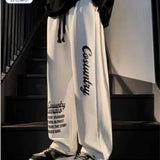 AIDASE  -  Summer Thin Trendy Pants Printed High Street Fashion Straight Pants Autumn Winter Plus Velvet Versatile Loose Casual Pants Chic aidase-shop