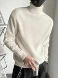 Aidase Knitted Sweaters for Men Turtleneck High Collar Black Man Clothes Pullovers Coat Jacket Letter Maletry New in Plus Size Casual aidase-shop