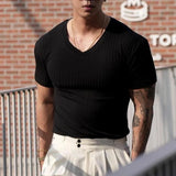 AIDASE  -  Classic V Neck Solid Color Ribbed Basic T Shirts Men's Slim Short Sleeve Strech Sports Tees Men Clothes Summer Fashion Pullovers aidase-shop