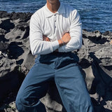 AIDASE  -  Spring Autumn Fashion Men's Polo Shirts Knitted Long Sleeve Button-up Polo Neck Tops Vintage Solid Color Mens Pullover Tops aidase-shop