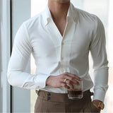 Aidase Men's Italian Collar Shirt, Wrinkle-free, Casual, Fashionable, Slim-fit with A Lapel Design, Branded Clothing, Youth, New aidase-shop