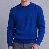 AIDASE  -  Men's Classic Crew Neck Knitwear Sweater Solid Color Pullover Casual Long Sleeve Jumper Autumn Winter Regular Fit Basic Tops aidase-shop