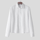 AIDASE  -  Tops 2025 Korean Style Men's Casual Simple Striped Cropped Shirt Fashion Streetwear Male Hot Selling Long Sleeved Blouse aidase-shop