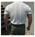 AIDASE  -  Vintage Men's Cool Short Sleeve Polo Shirt, Lapel Breathable Hollow Out Top, Summer Mesh Slim Sleeve Fashion Casual Knit T-shirt aidase-shop