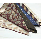 AIDASE  -  2PCS Neck Ties Set New Luxury Polyester Paisley Neckties Polka Dot Floral Tie Brooches Formal Business Shirt Accessories Cravat aidase-shop