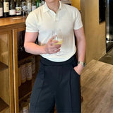 AIDASE  -  Stylish Men's Slim Knit Polo Shirts 2025 Summer New Casual Textured Ribbed Polo Shirt For Mens Streetwear Vintage Polo T-shirts aidase-shop