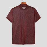 AIDASE  -  Summer New European and American Men's Sexy Perspective High Neck Design Sensual and Fun Short Sleeve T-shirt Top aidase-shop