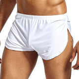 Aidase Men Underwear Boxers Breathable Man Boxer Solid Gay Sexy Underpants Men's Comfortable Brand Shorts Underwear for Men Pants aidase-shop