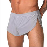 Aidase Men Underwear Boxers Breathable Man Boxer Solid Gay Sexy Underpants Men's Comfortable Brand Shorts Underwear for Men Pants aidase-shop