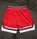 2022 Summer Men Shorts Running Fitness gym Men's Shorts mesh Breathable Elastic  Jogger quick-drying basketbalsport shorts man aidase-shop