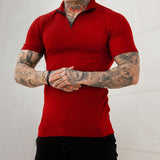Spring Summer Slim Short Sleeve Polo Shirt Men Clothes Sports Fitness Casual Solid Color Zipper Lapel Tops Men's Streetwear aidase-shop