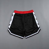 Aidase   new Men's Casual Shorts Summer New Running Fitness Fast-drying Trend Short Pants Loose Basketball Training Pants aidase-shop