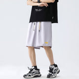 Shorts Men's Summer Thin Straight Tube Loose Slim Fitting Ice Quick Drying Five Points Sports Pants Streetwear Shorts aidase-shop