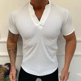 Summer Fashion T-Shirt Solid V-Neck Pullover Tops Men's Casual Short Sleeve Threaded Breathable Slim Tee Men Streetwear aidase-shop