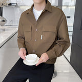 Spring New Korean Style Men's Shirts Turn-down Collar Stripe Long Sleeve Man Blouses All-match Basic Tops Clothing aidase-shop