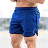 New Men Fitness Bodybuilding Shorts Man Summer  Workout Male Breathable Mesh Quick Dry Sportswear Jogger Beach Short Pants aidase-shop