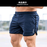 New Men Fitness Bodybuilding Shorts Man Summer  Workout Male Breathable Mesh Quick Dry Sportswear Jogger Beach Short Pants aidase-shop