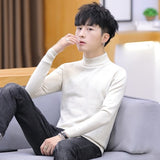 2021 Autumn New Men's Turtleneck Sweaters Male Slim Fit Solid Color High Neck Sweater Men Long Sleeve Knitted Pullover Tops 3XL aidase-shop