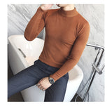 2021 Autumn New Men's Turtleneck Sweaters Male Slim Fit Solid Color High Neck Sweater Men Long Sleeve Knitted Pullover Tops 3XL aidase-shop
