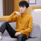 2021 Autumn New Men's Turtleneck Sweaters Male Slim Fit Solid Color High Neck Sweater Men Long Sleeve Knitted Pullover Tops 3XL aidase-shop