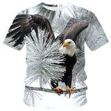 New T-shirt Flame T-shirt Men Phoenix Eagle Graphic T-shirt Printing Harajuku Funny T-shirt Animal T-shirt Casual Lively T-shirt aidase-shop