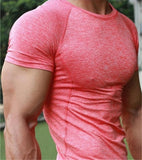 Mens Quick Dry Fitness Printed Tees Outdoor SPORT Running Climbing Short Sleeves Shirt Tights Bodybuilding Tops aidase-shop